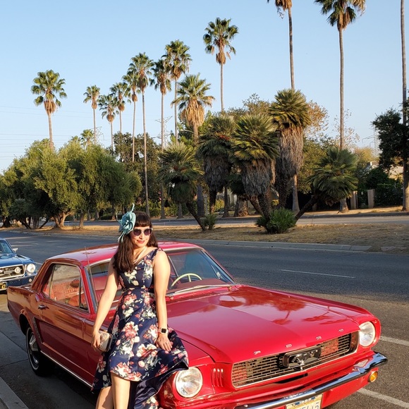 Meet your Posher, Belle - Picture 4 of 6